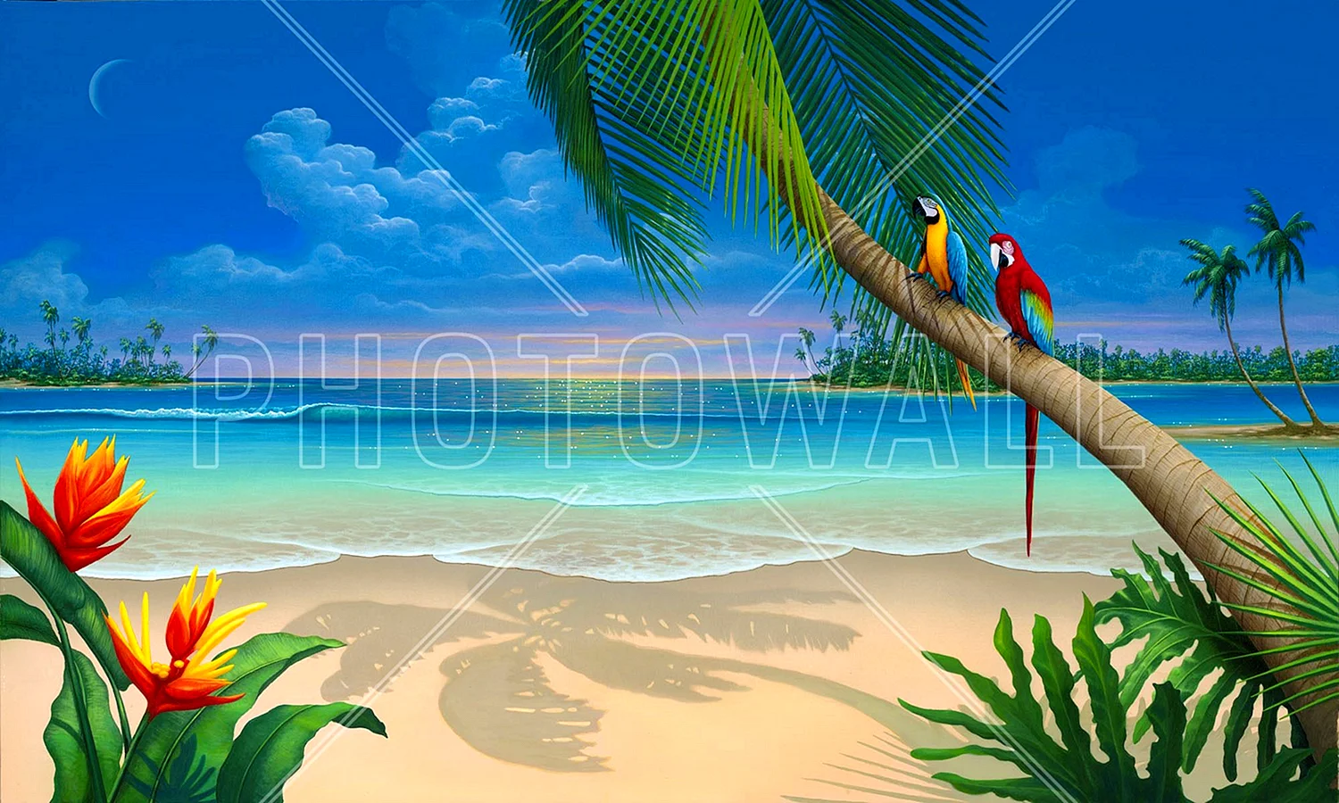 Пляж попугаи пальмы