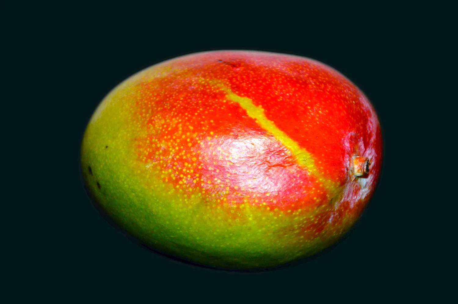 Плод манго