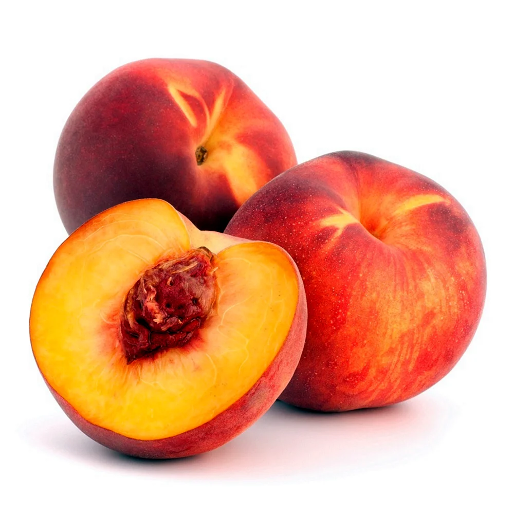 Плод персика это костянка