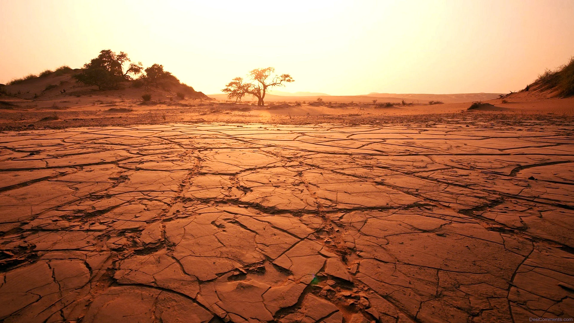 Почвы саванны в Африке