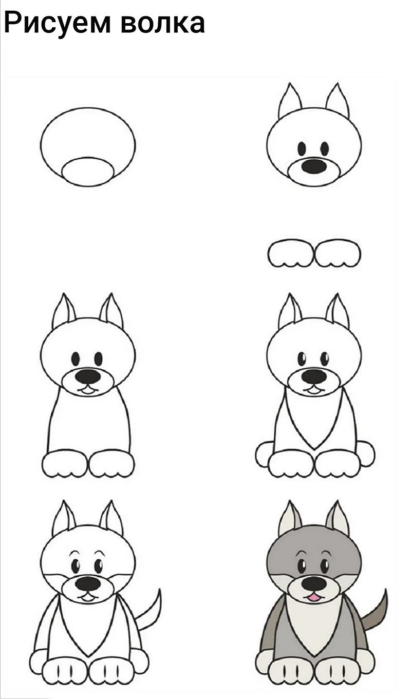 Поэтапное рисование волка для детей
