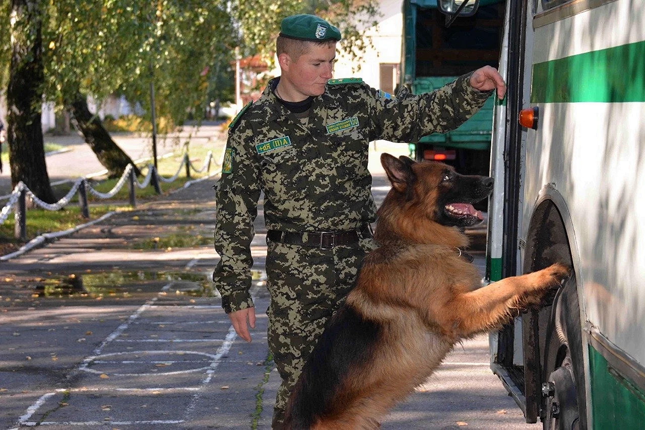 Пограничная служба Крым