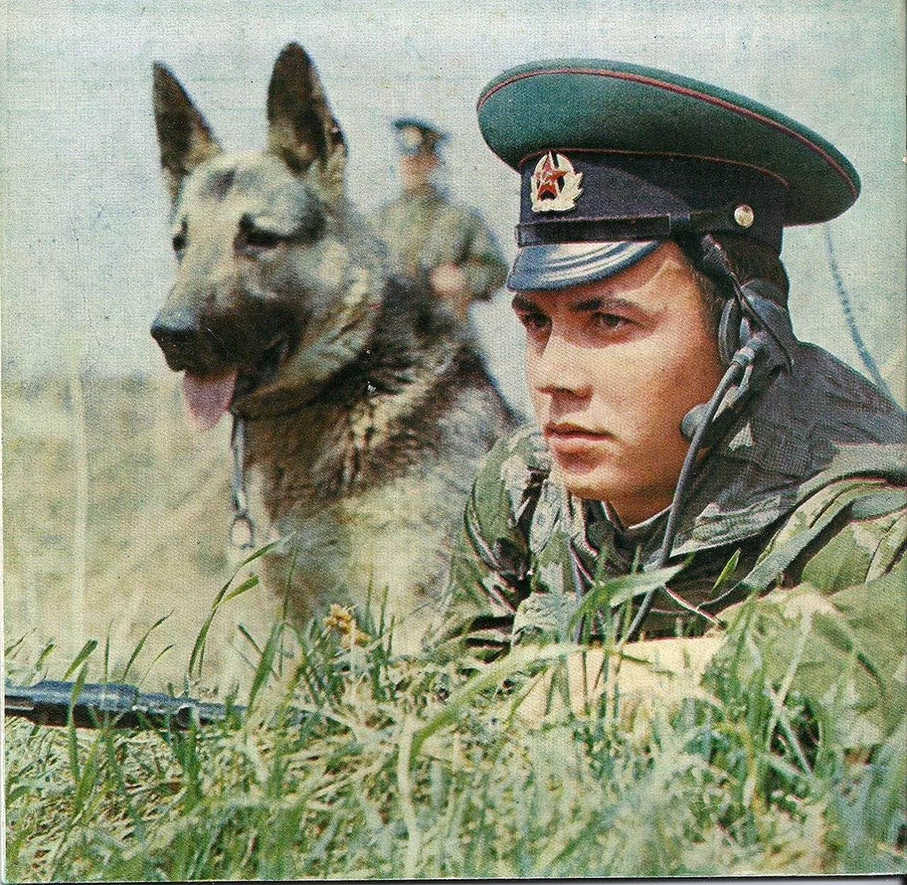 Пограничный пес алый фильм 1979
