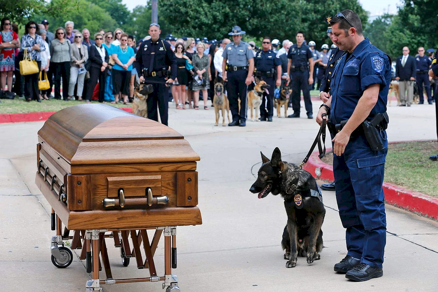 Похороны полицейской собаки в США