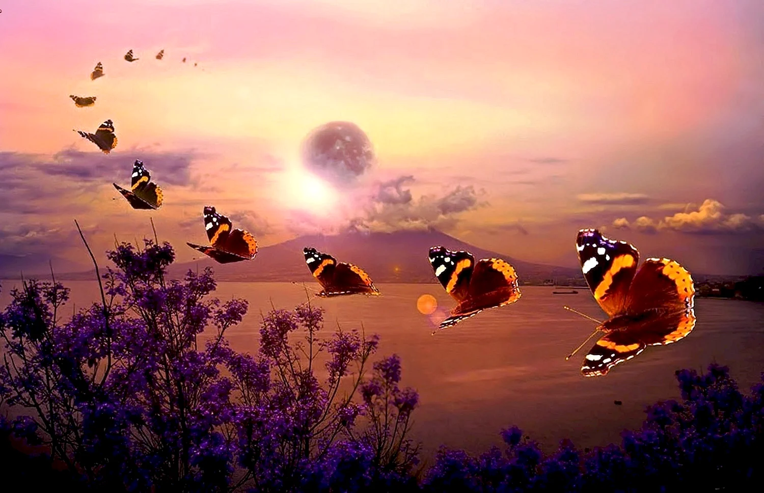 Полет бабочки