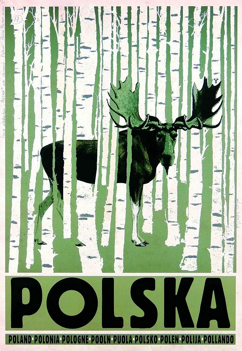 Польский плакат современный