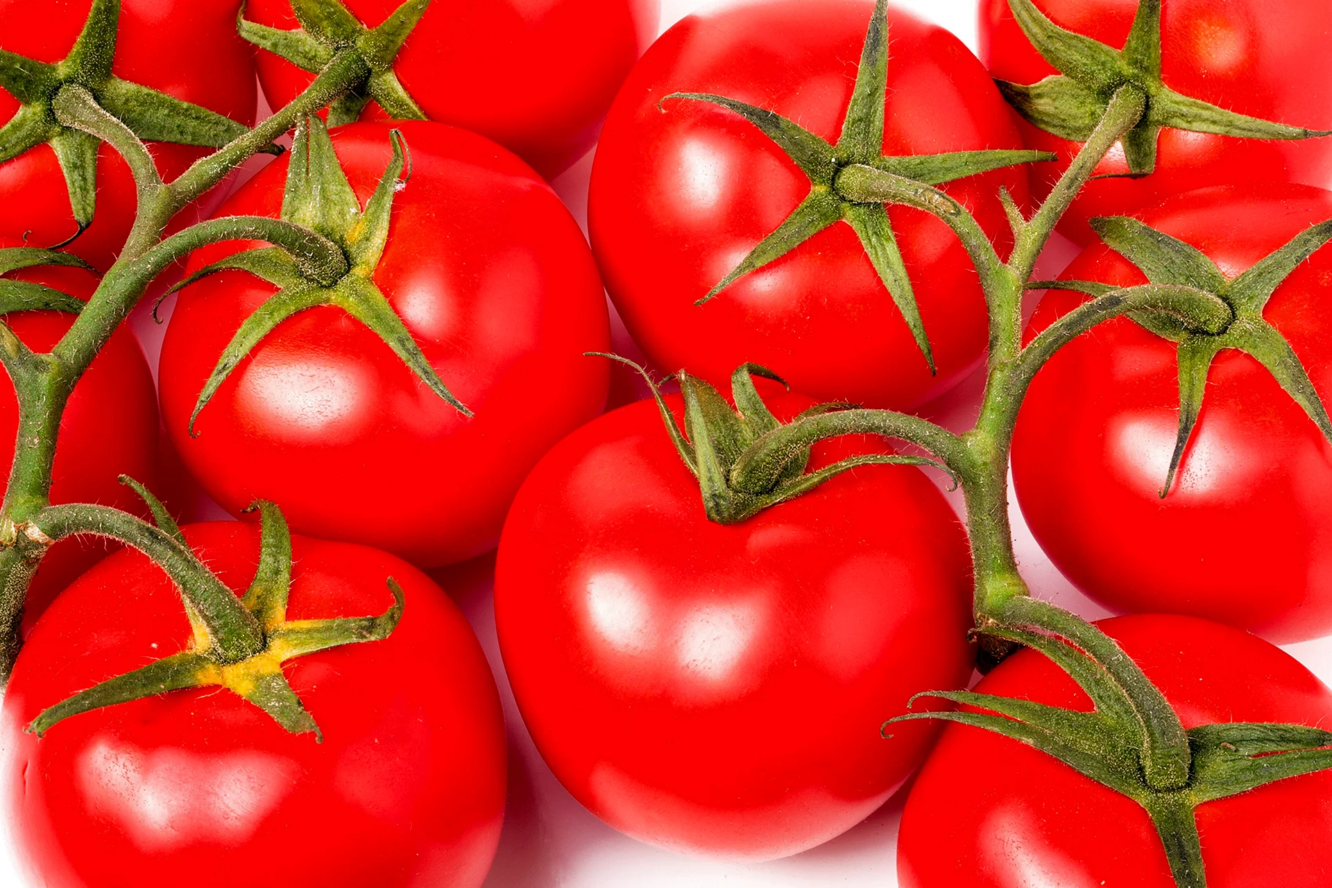 Помидорный томат