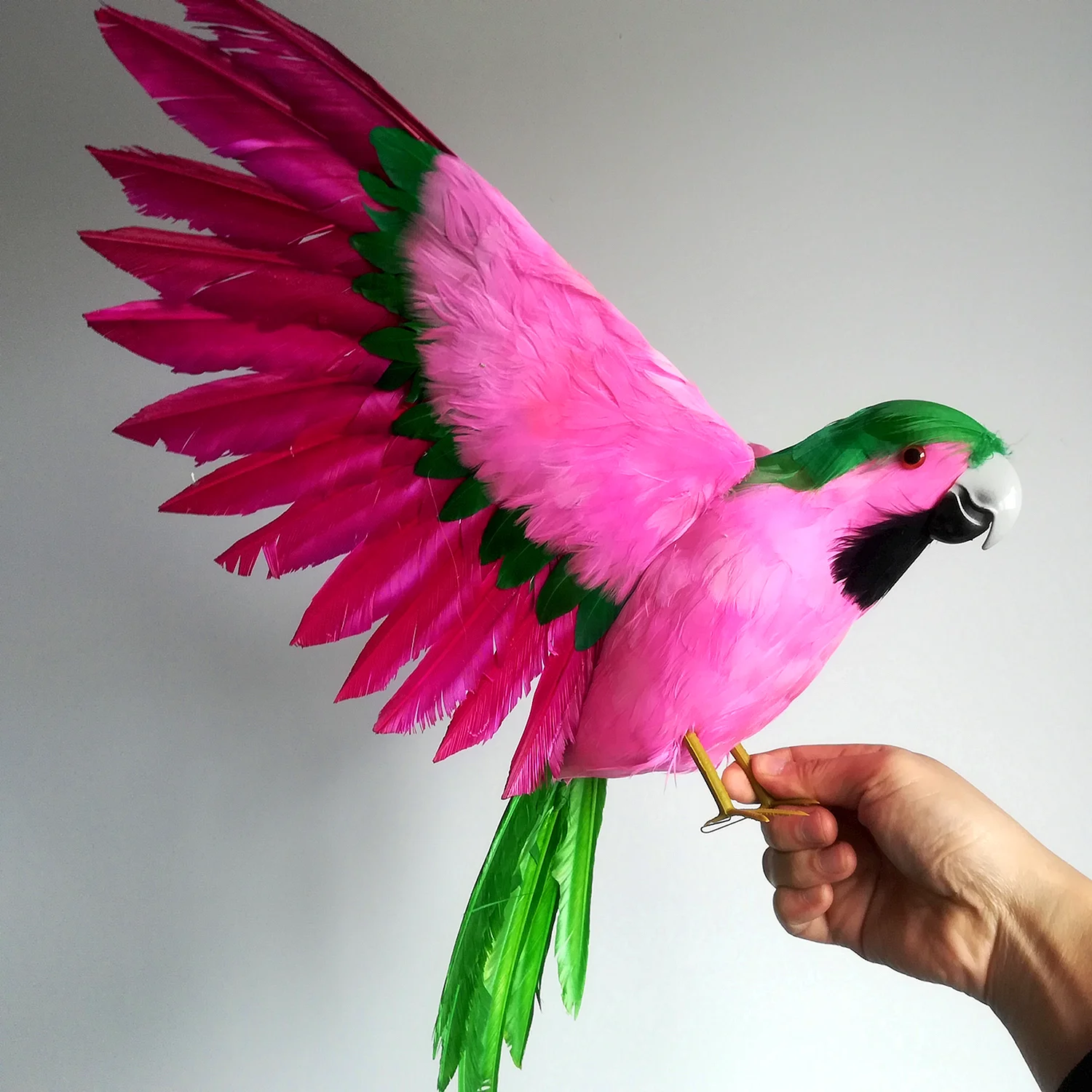 Попугай розовые Крылья