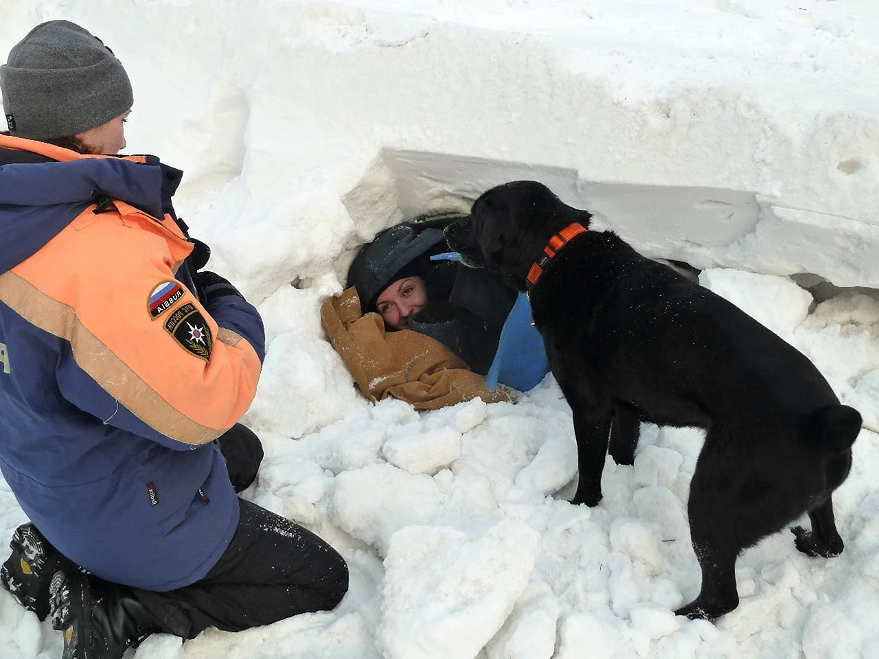 Порода собак спасателей в горах