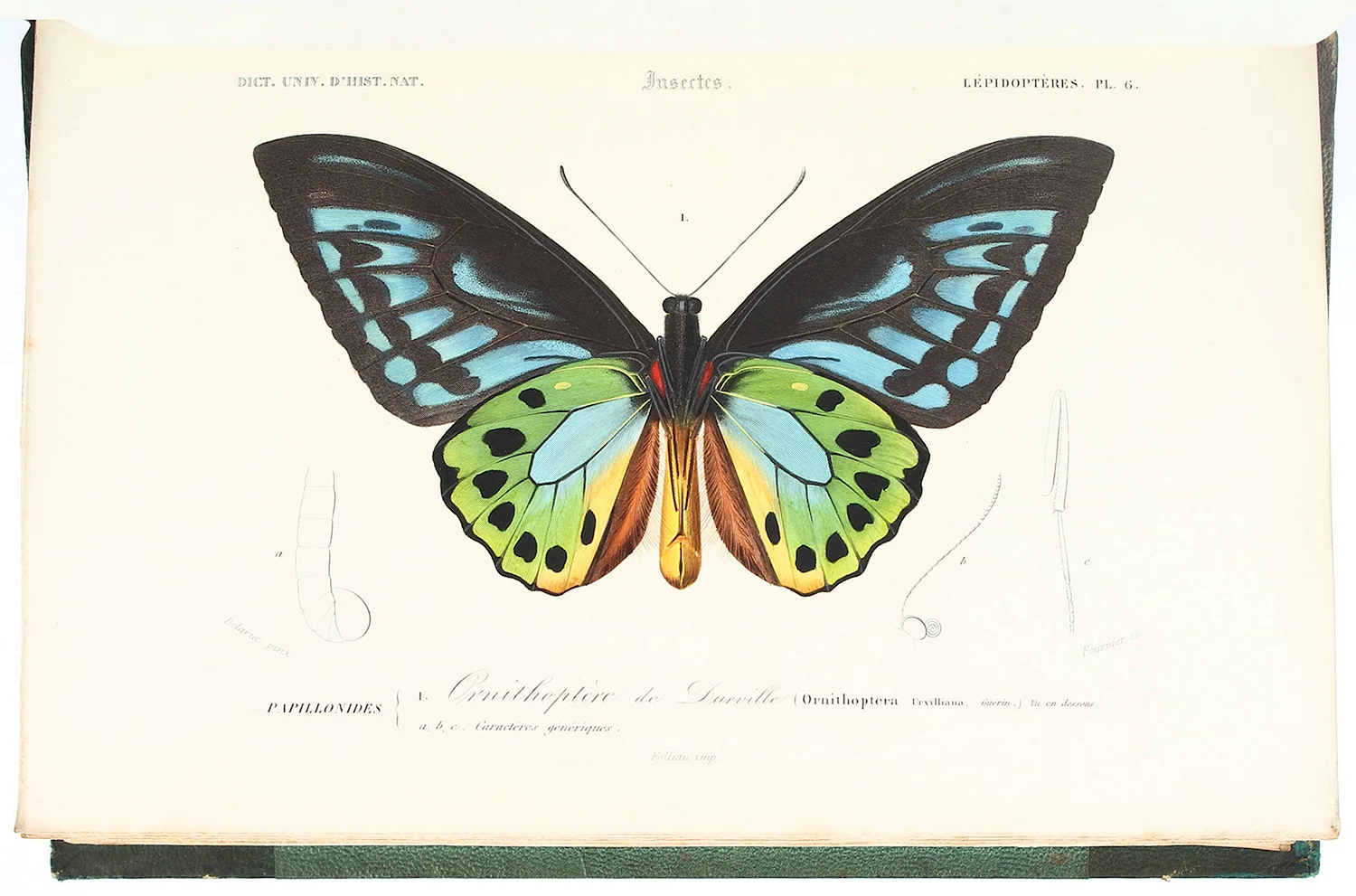 Постер с бабочками рисунок