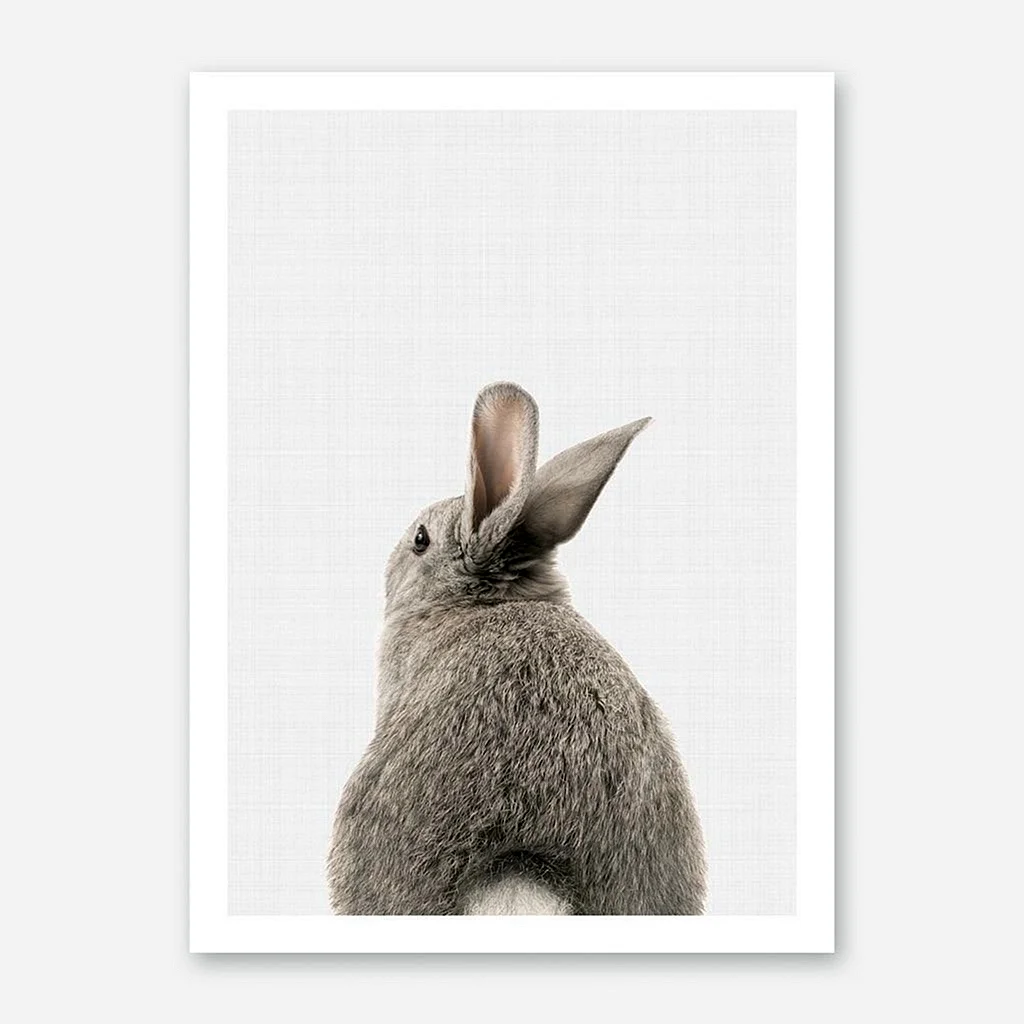 Постер заяц