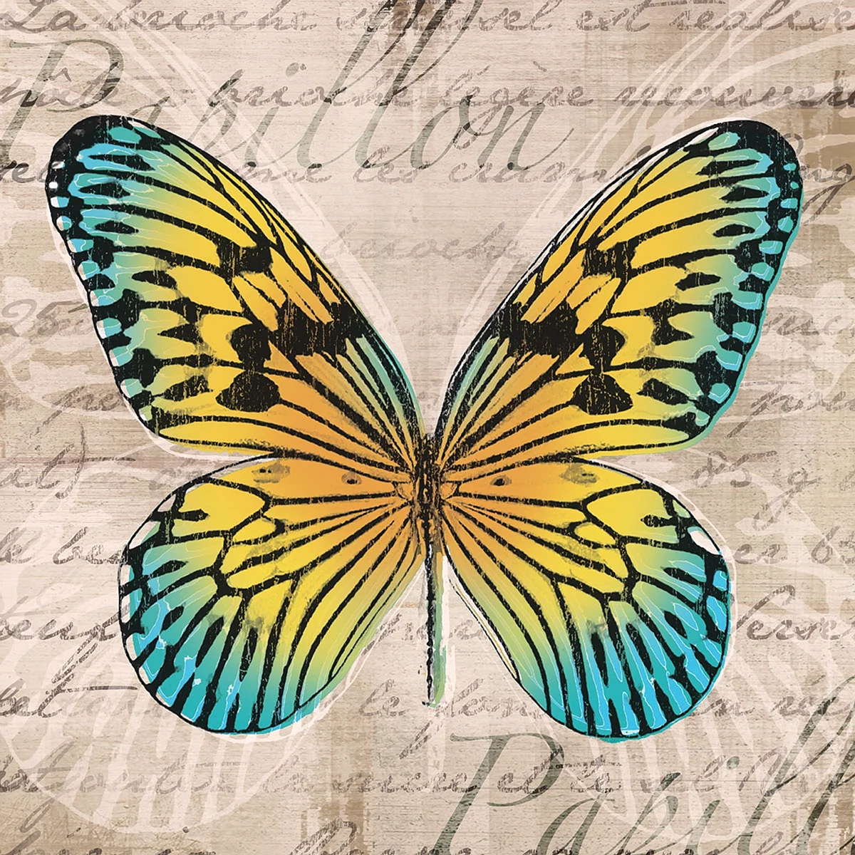 Постеры из пинтереста бабочки