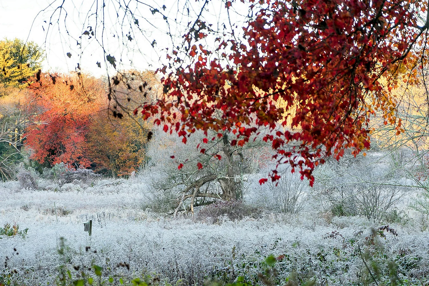 Поздняя осень фото