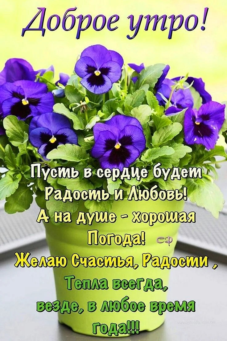 Доброе утро и благословенного дня новые. Христианские пожелания с добрым утром. Открытки с добрым. Православные поздравления с добрым утром. Доброго утро благославенного дня.