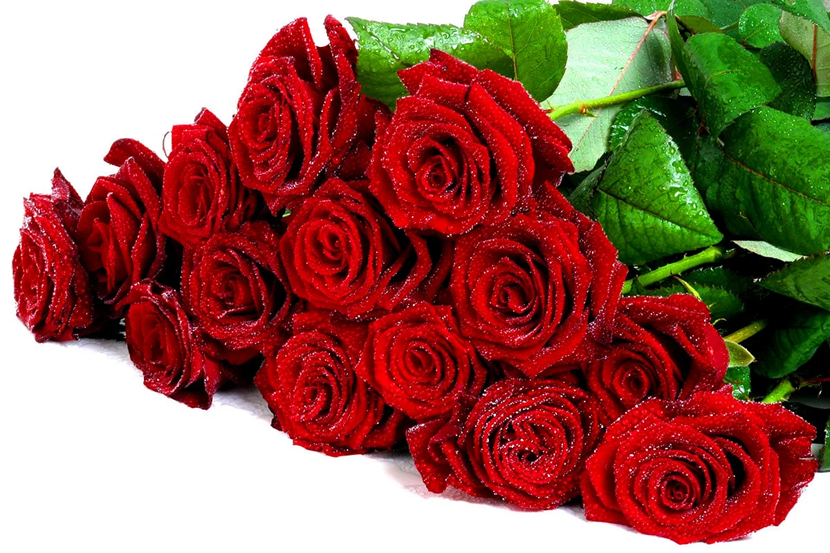 Поздравляю розы
