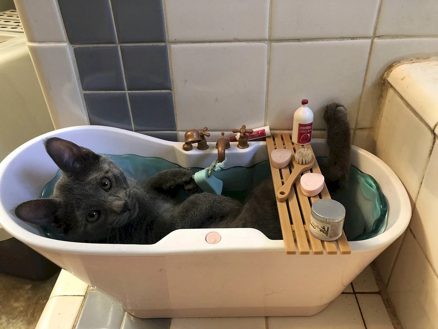 Прикольные ванны