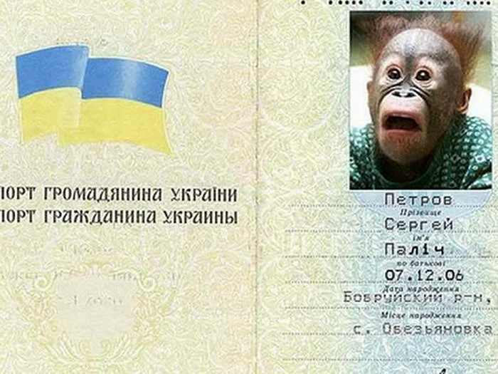 Прикольный паспорт