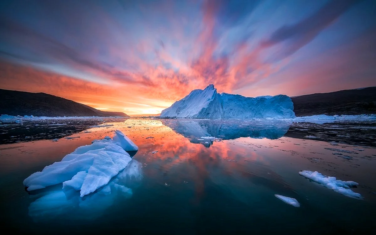 Природа Арктики