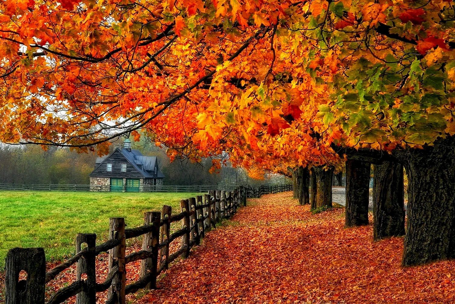 Природа осень
