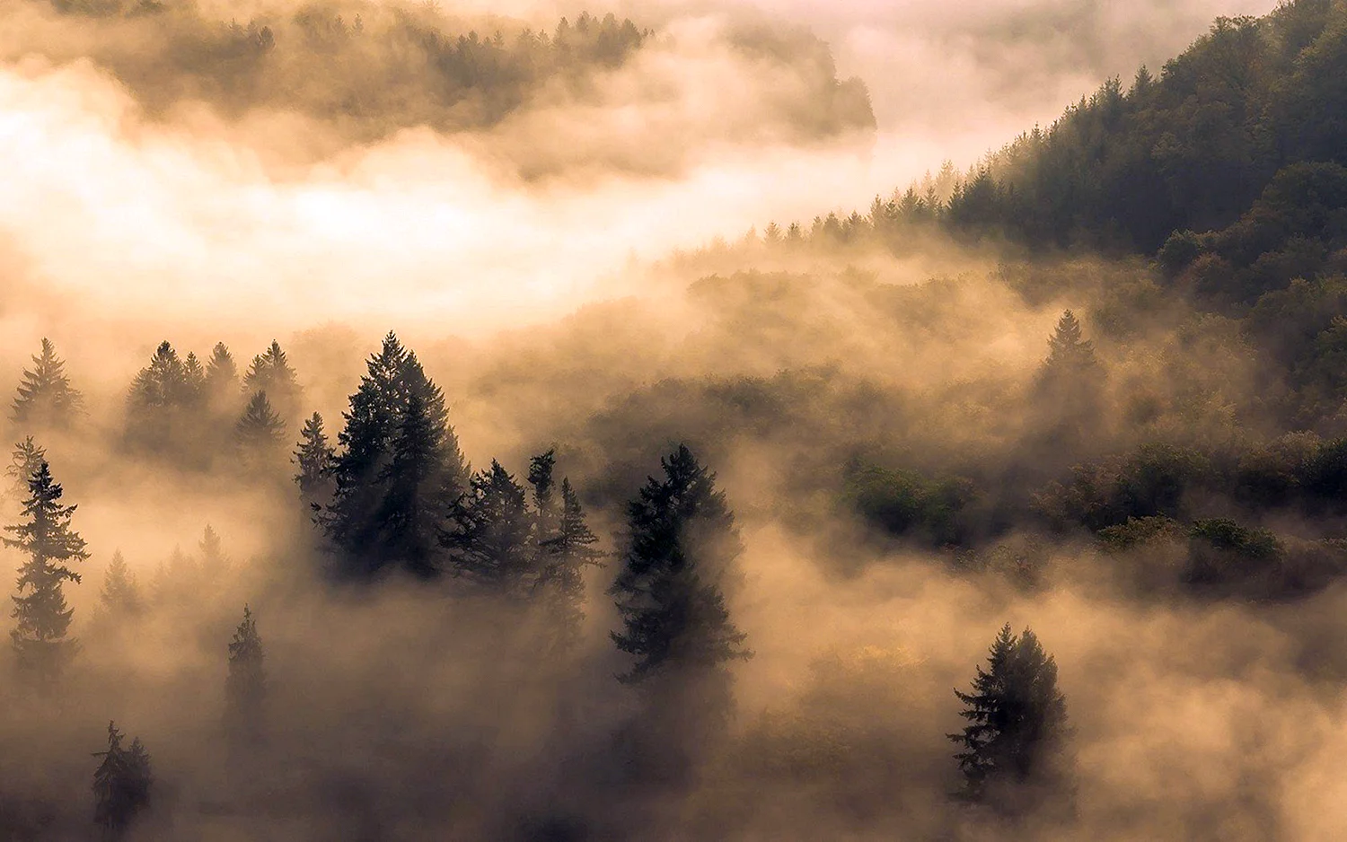 Природа туман