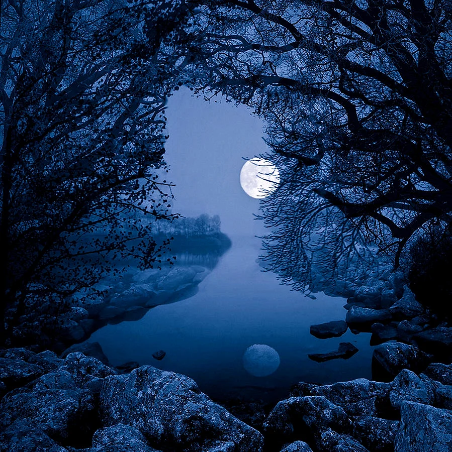 Природа в лунном свете