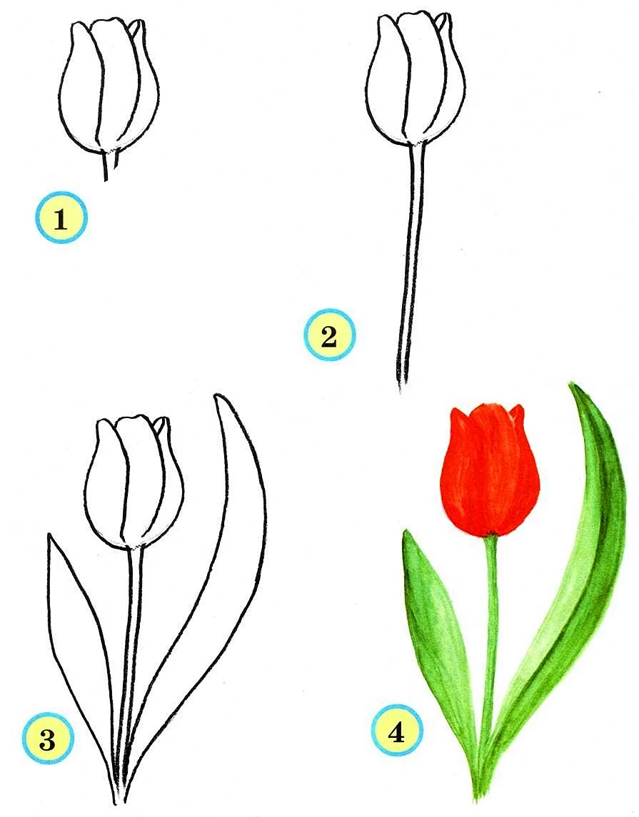 Простые цветы для рисования