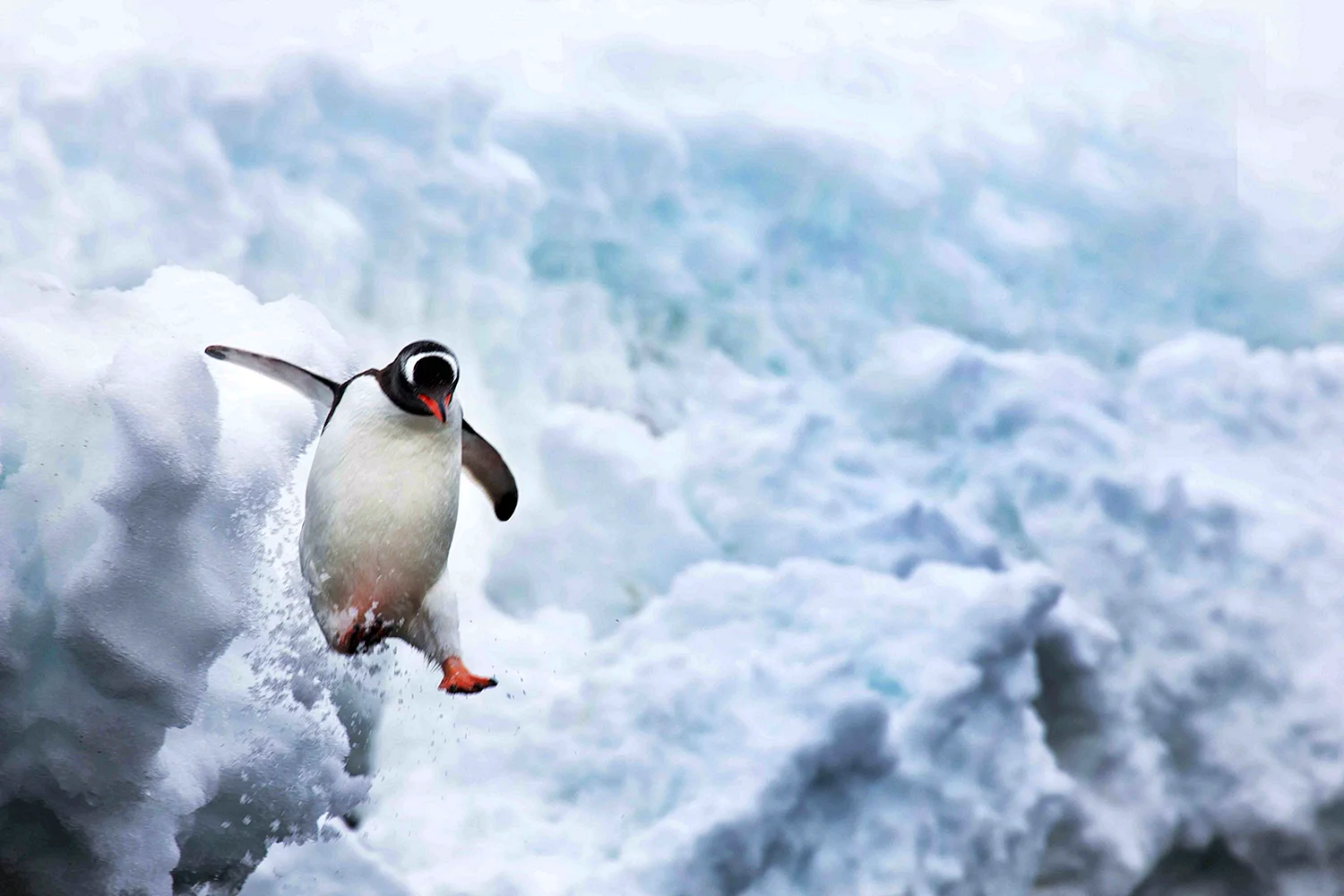 Прыгающий Пингвин
