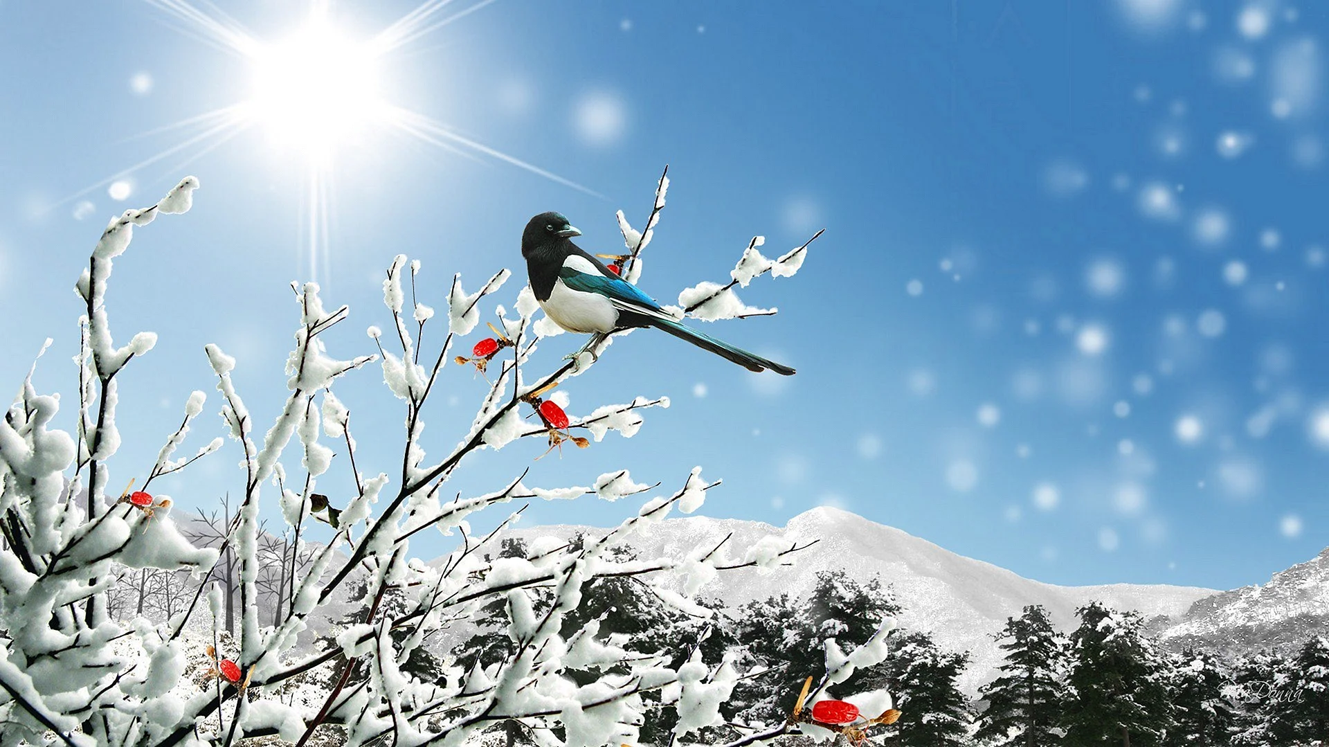 Птицы в небе зимой