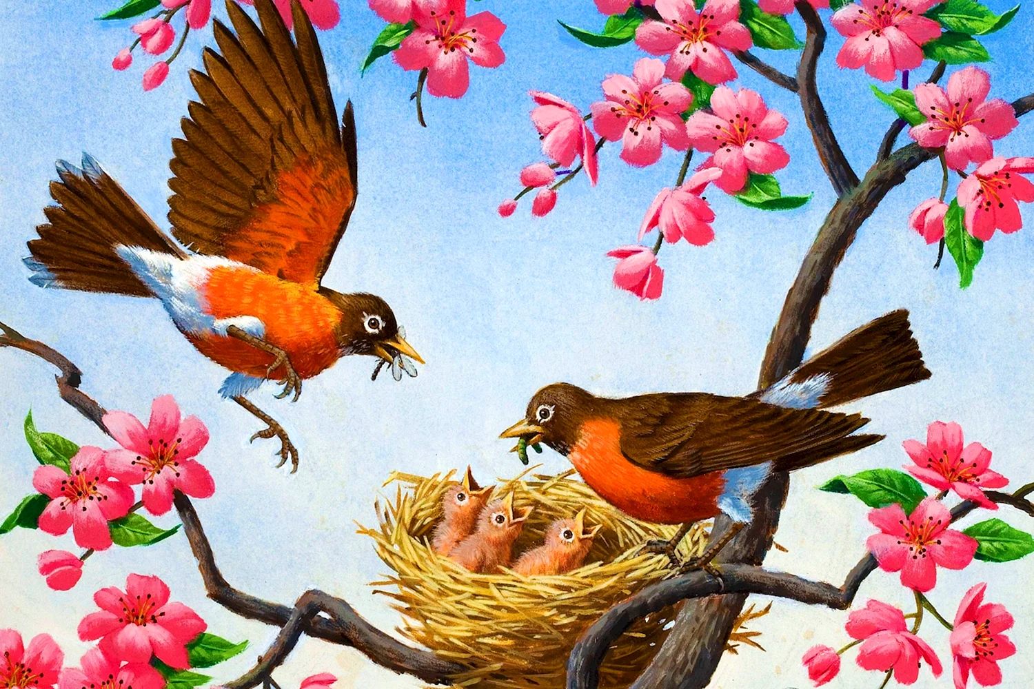 «Птицы весной» с.к.Артюшенко