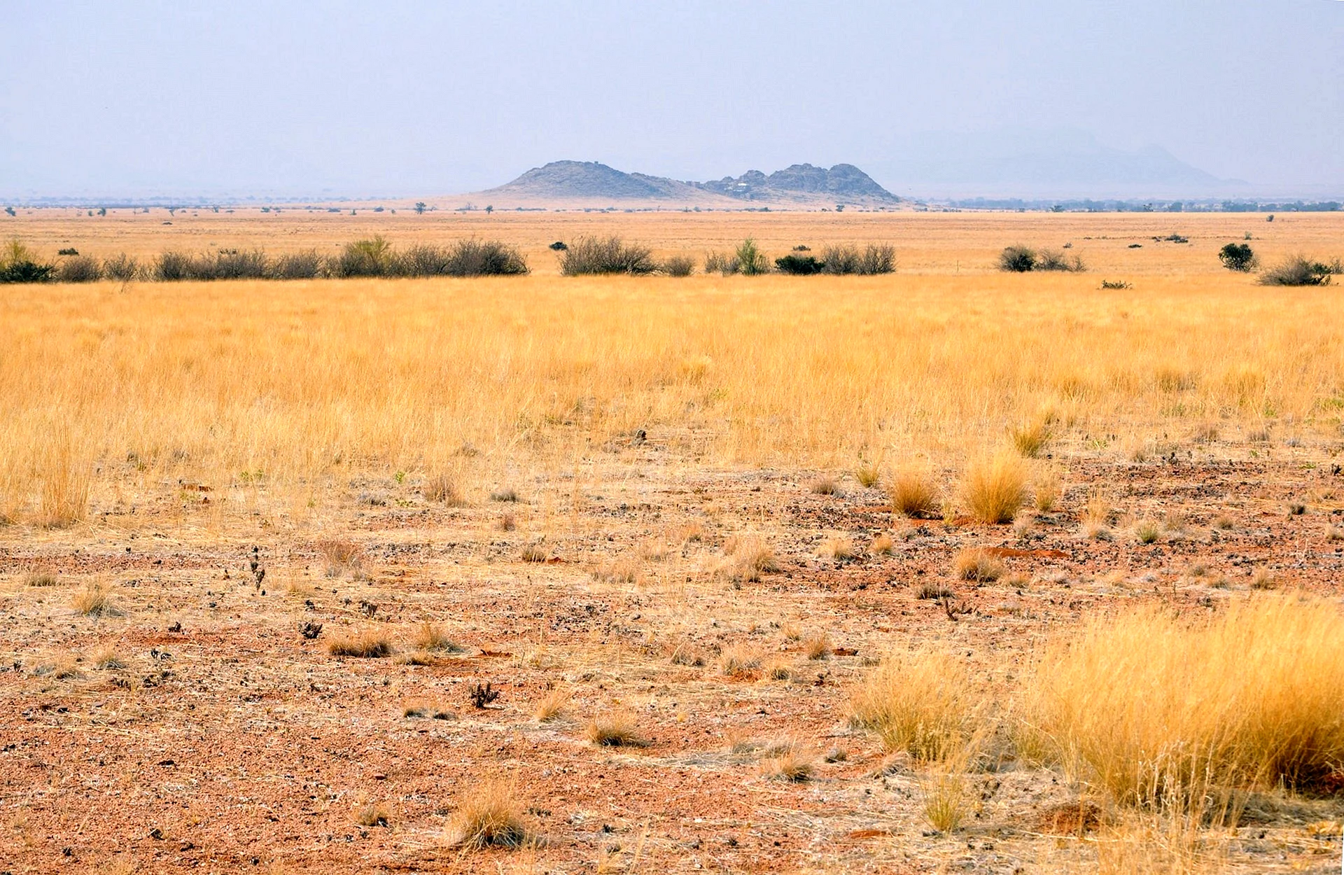 Пустыня Саванна в Африке