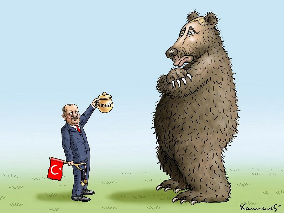 Путин и Эрдоган карикатуры