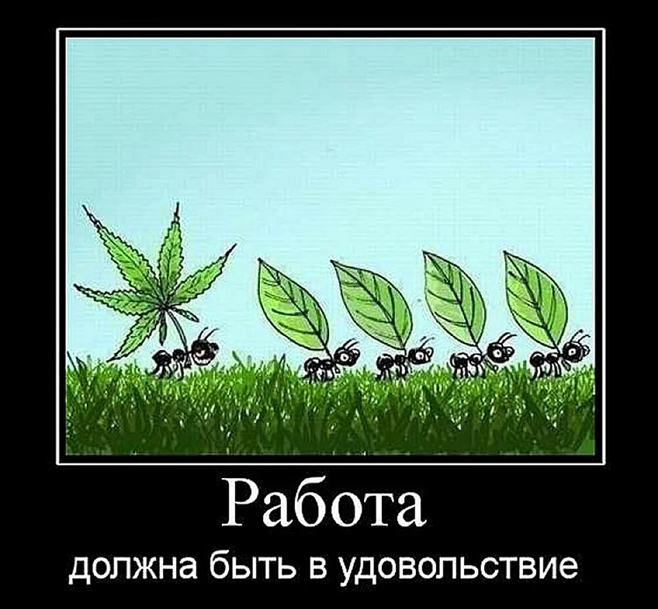 Работа должна приносить удовольствие