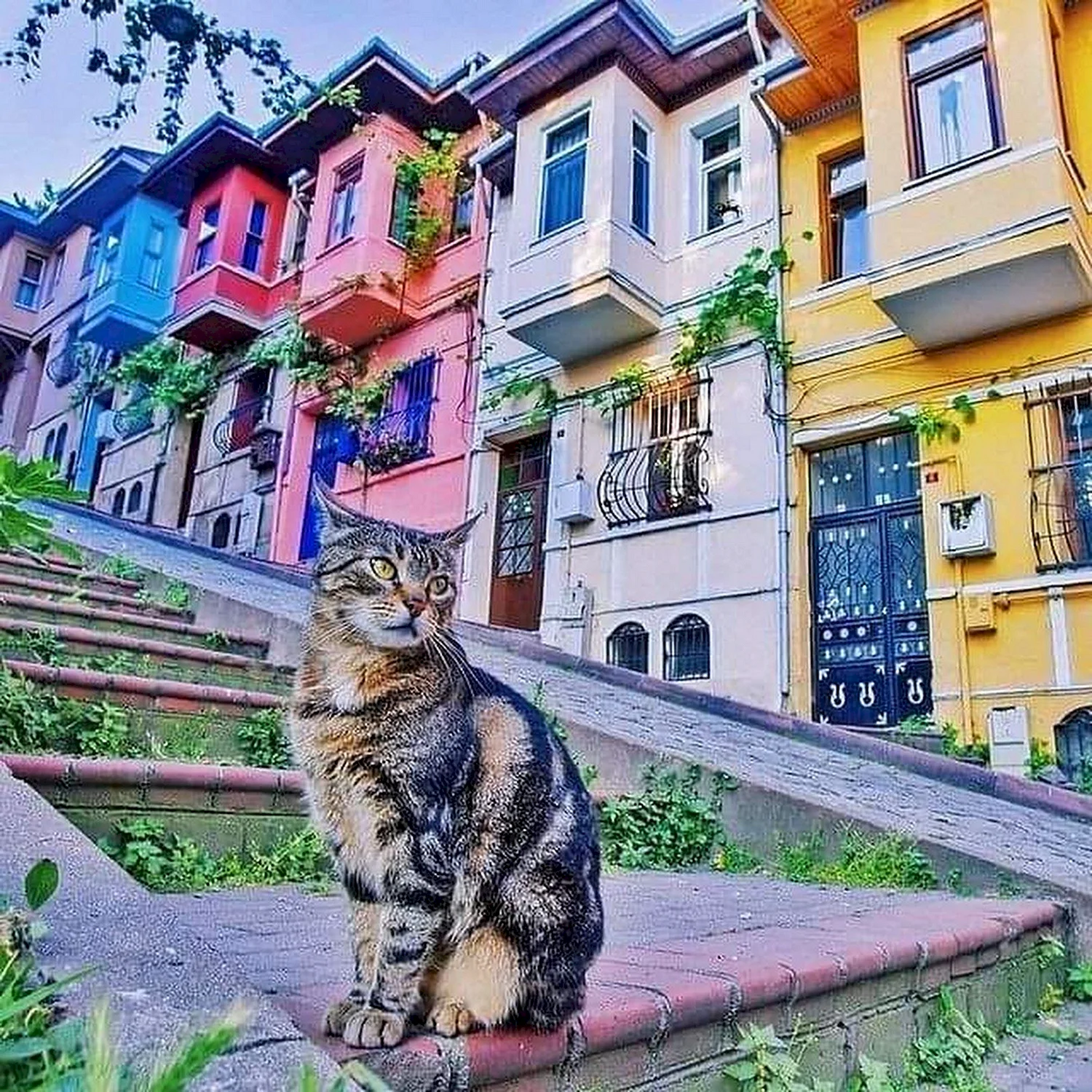 Район Балат в Стамбуле