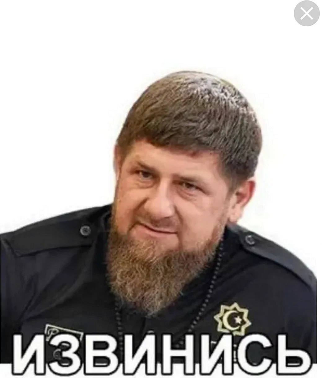 Рамзан Кадыров извинись