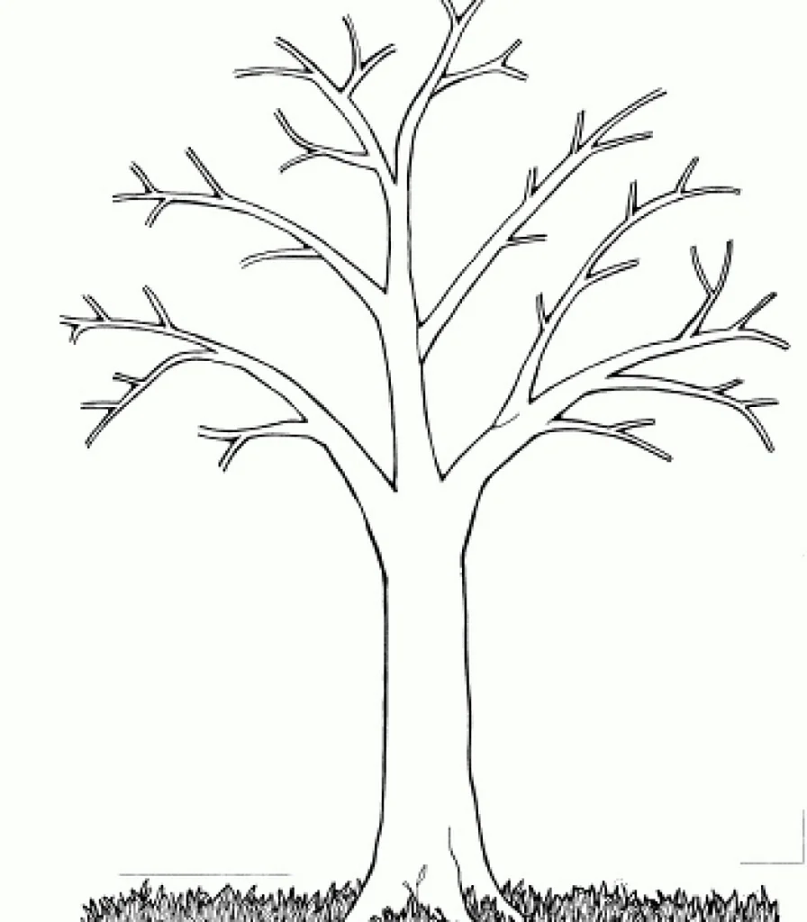 Раскраска дерево без листьев