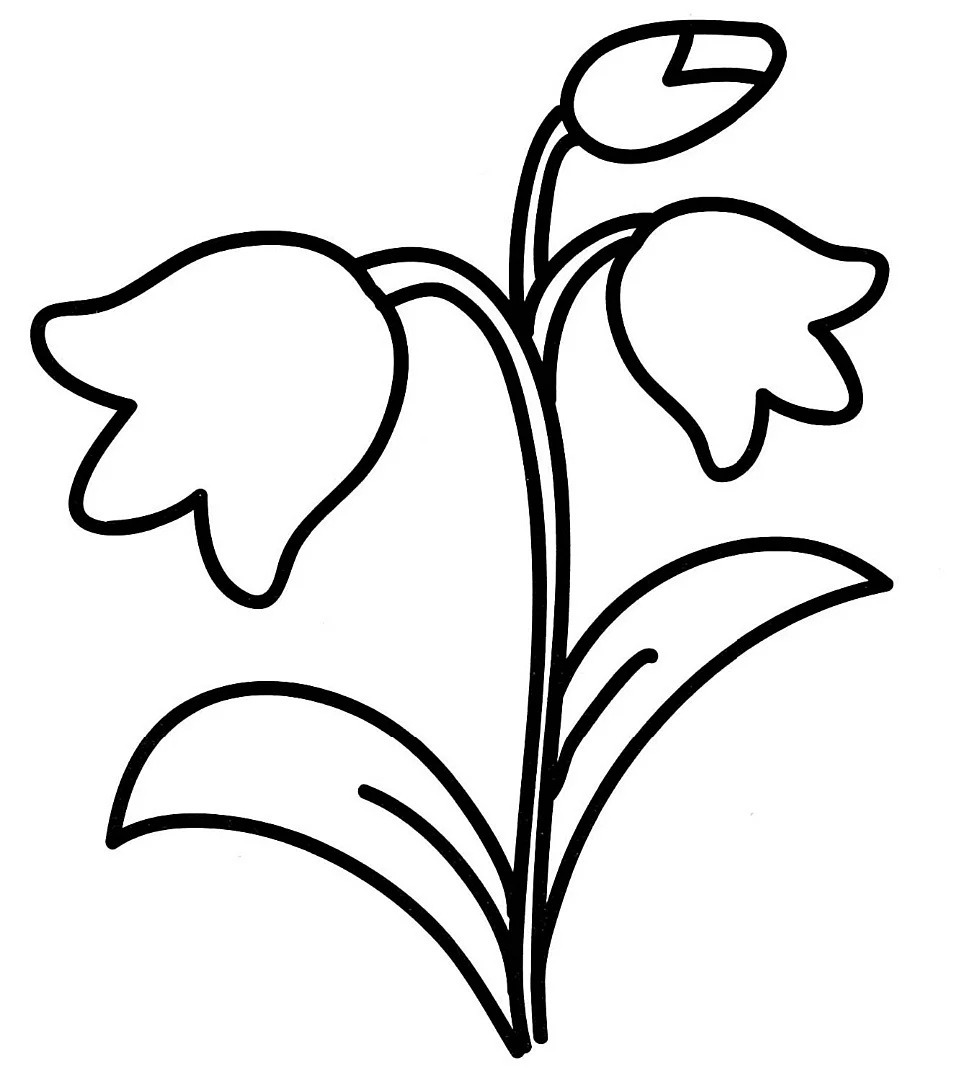 Раскраска колокольчик цветок