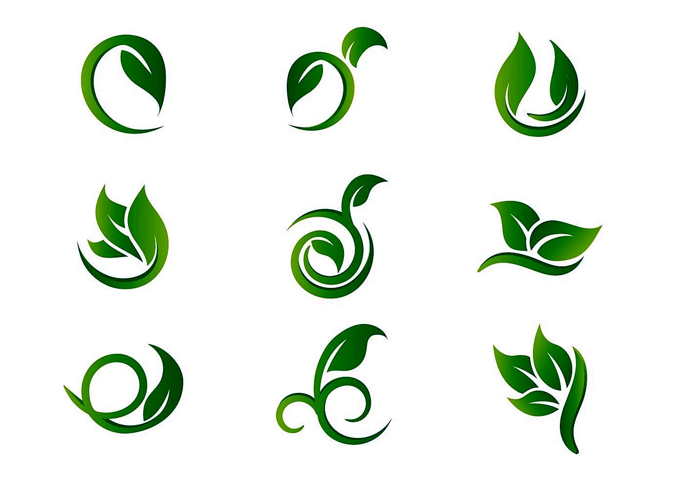 Растительный логотип
