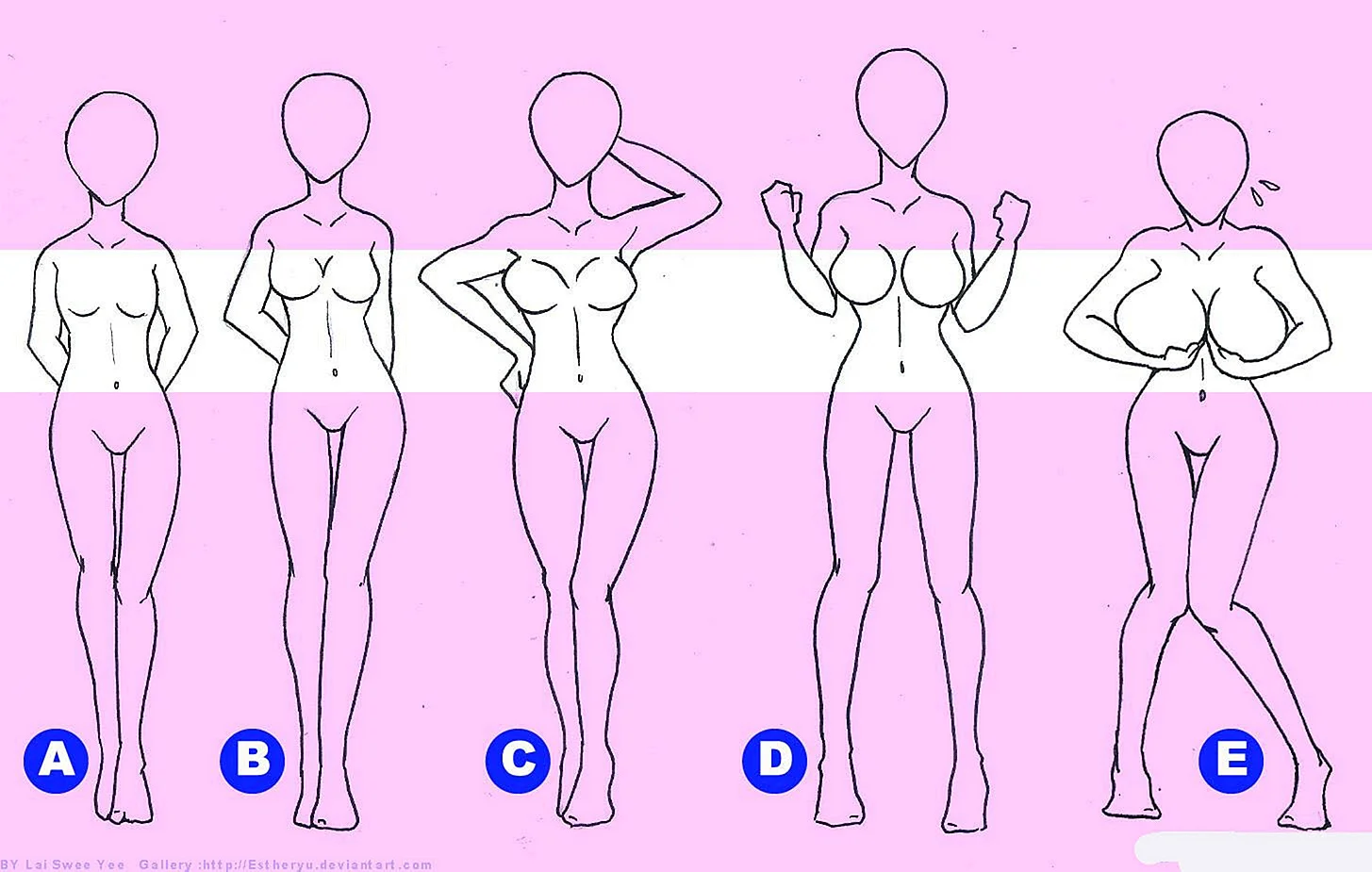Картина с различными типами женских фигур и их вариантами