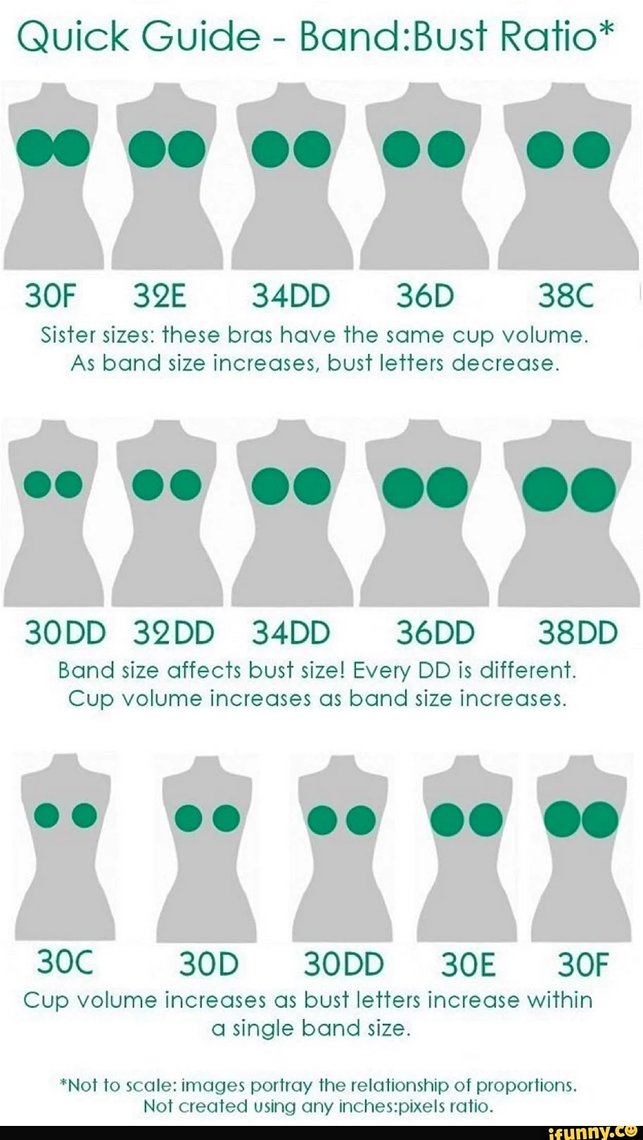 Размеры женской груди