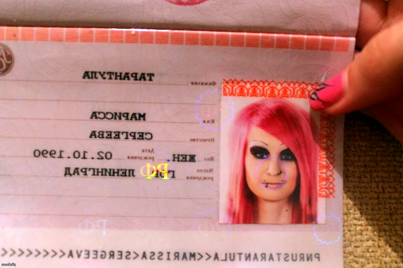 Разноцветные волосы в паспорте