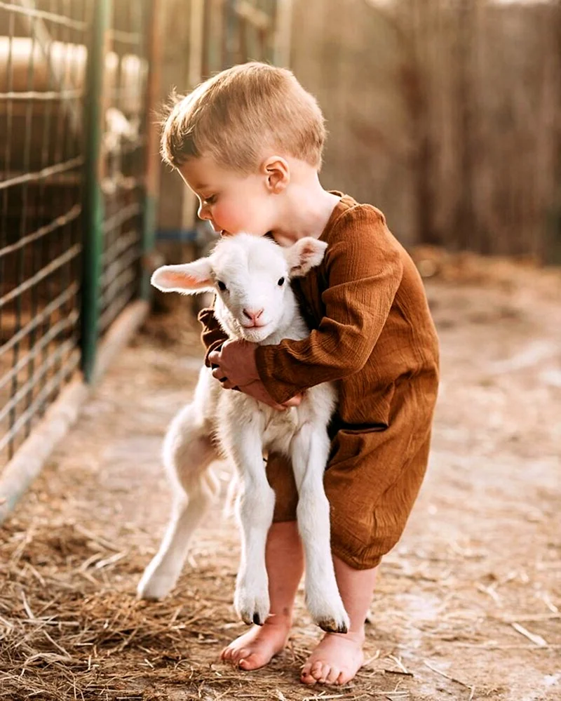 Ребенок и животное