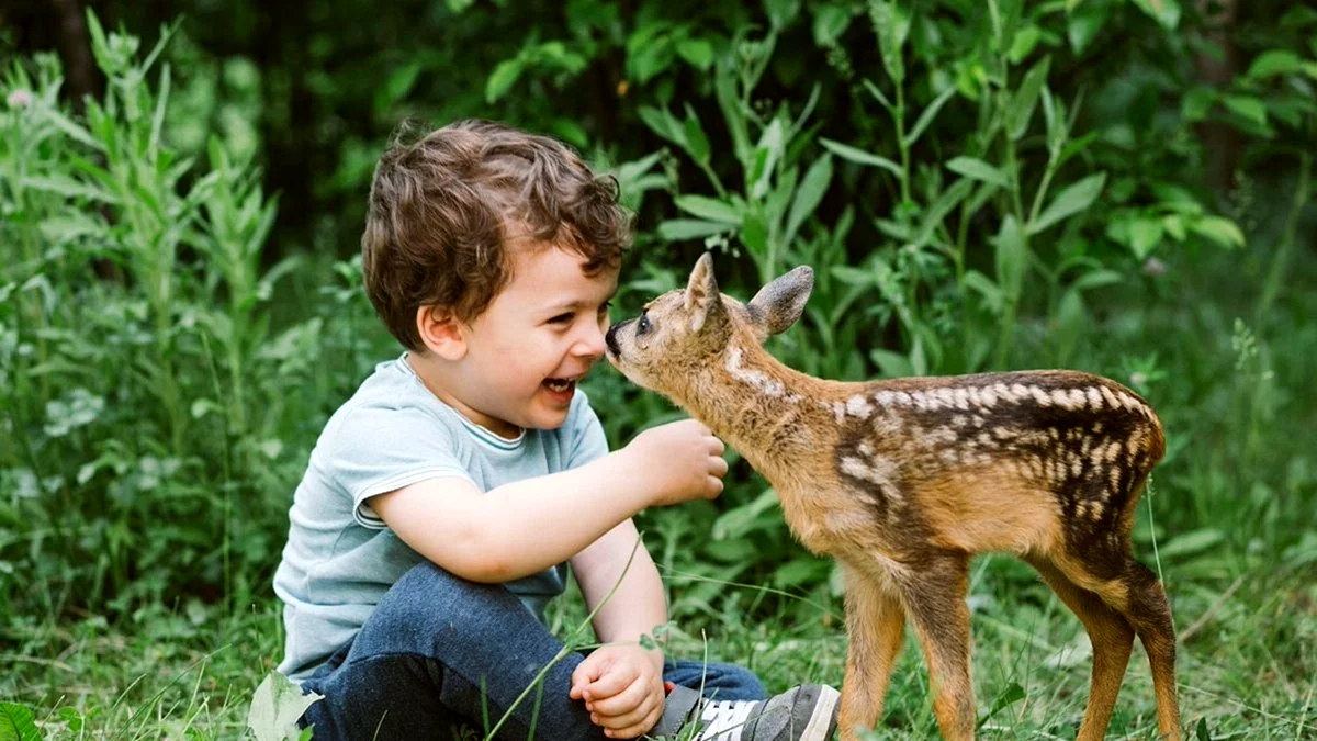 Ребенок и животное
