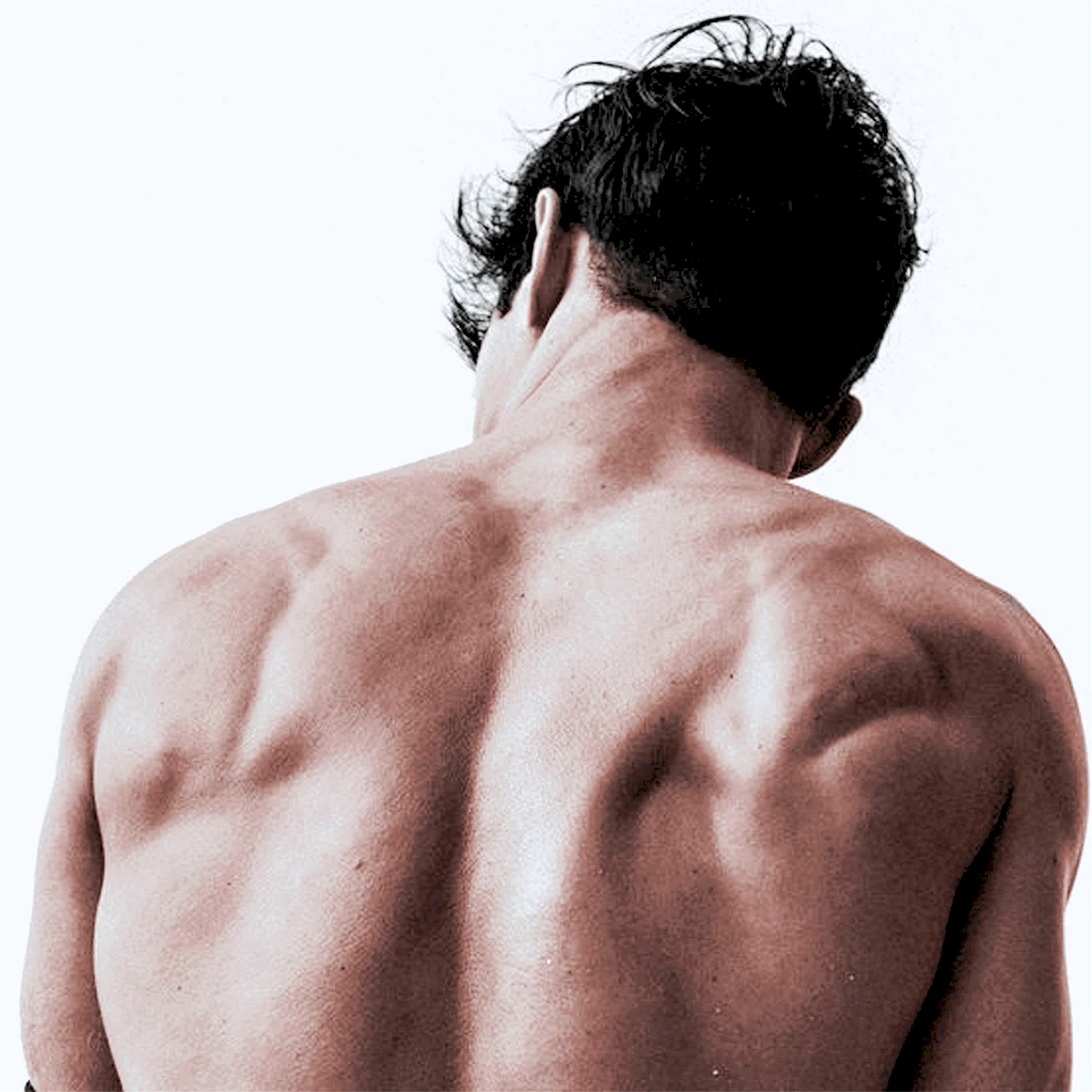 Референсы мужской спины