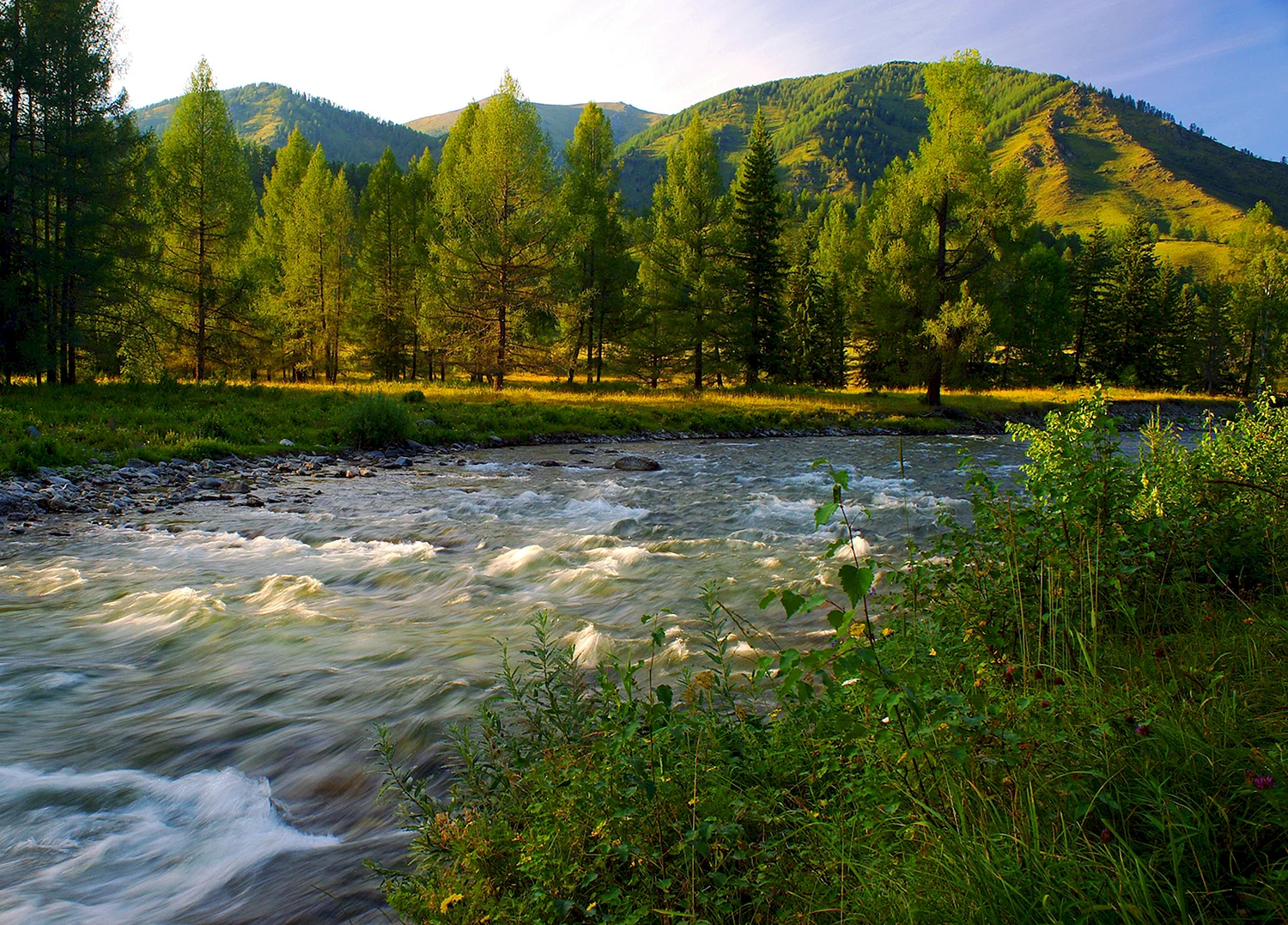 Река Сунгай Алтайского края