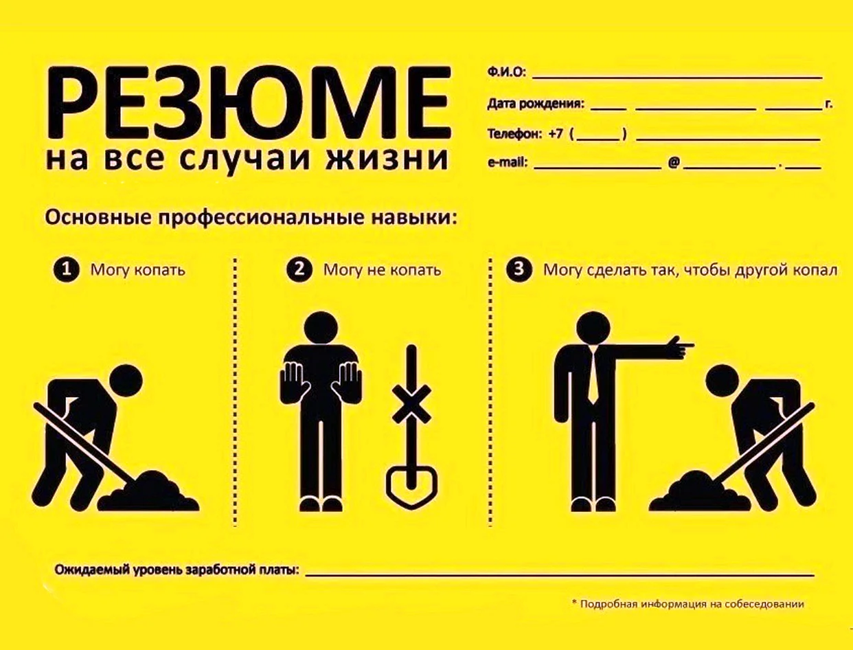 Резюме прикол