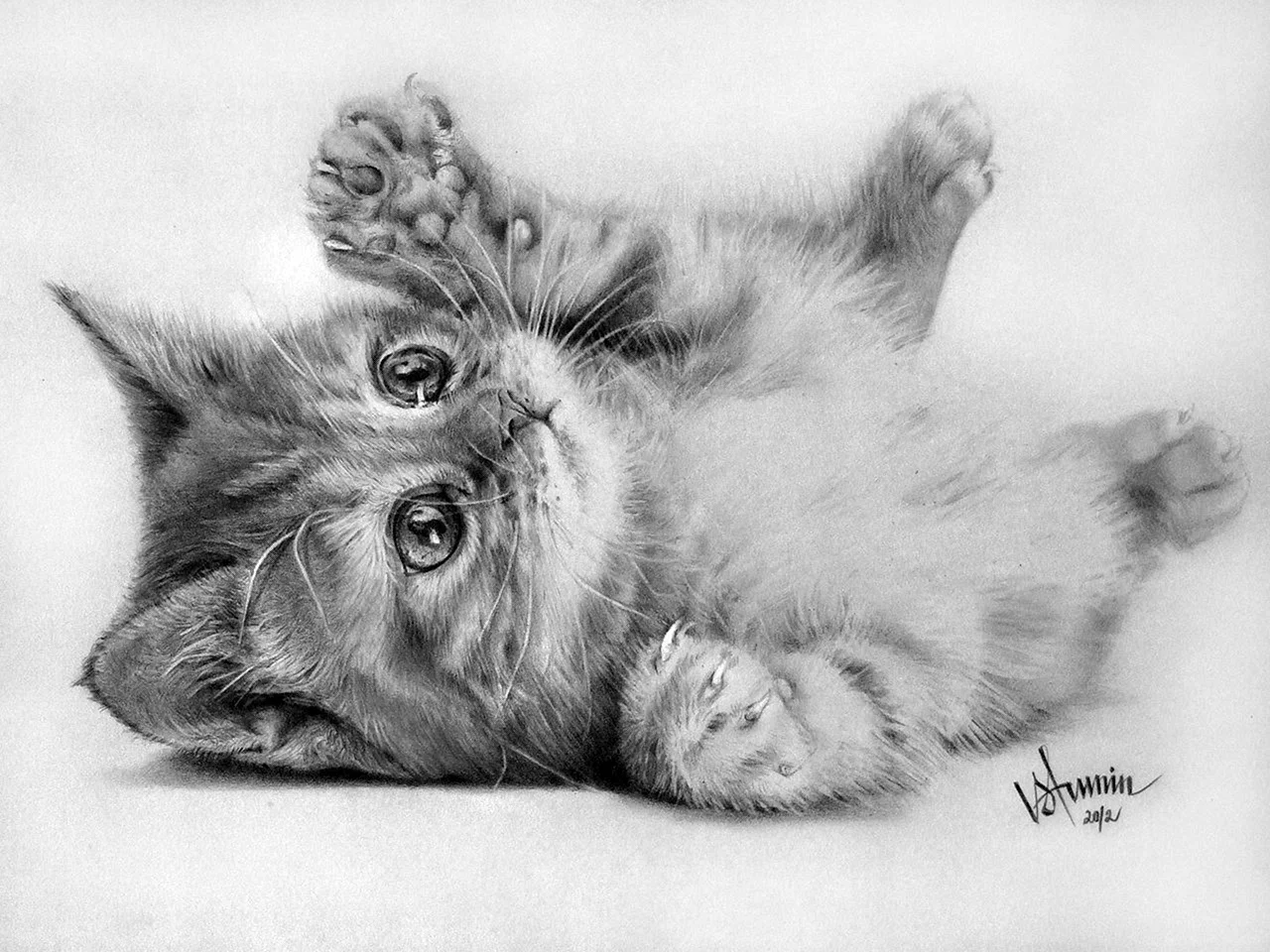 Рисунки котиков карандашом