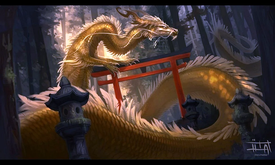 Рюкоцусей дракон