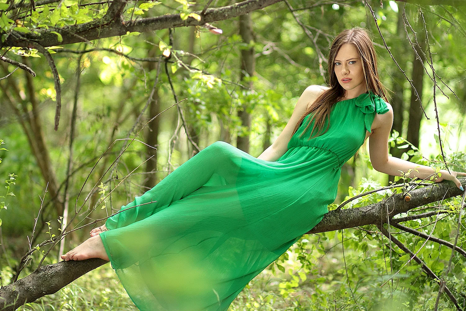 Робин Эллакотт в зеленом платье