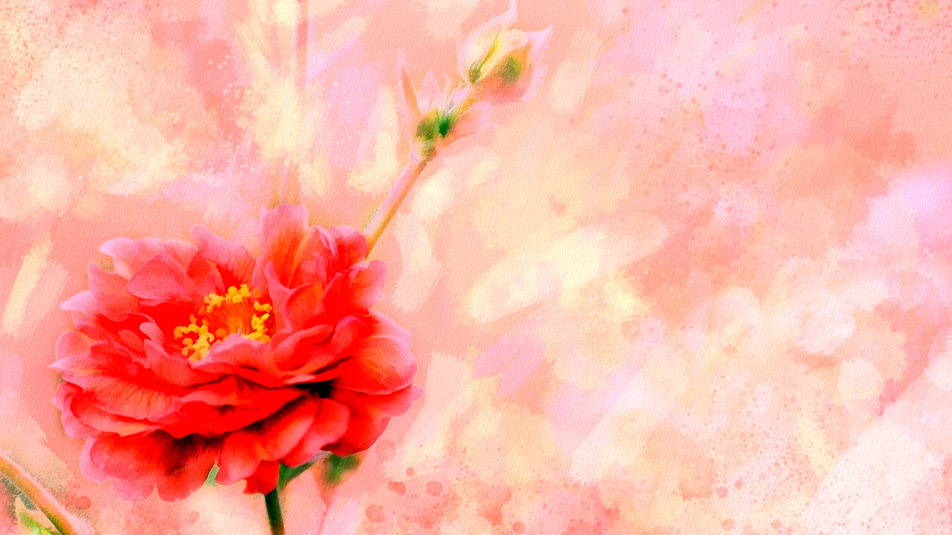 Розово персиковый фон
