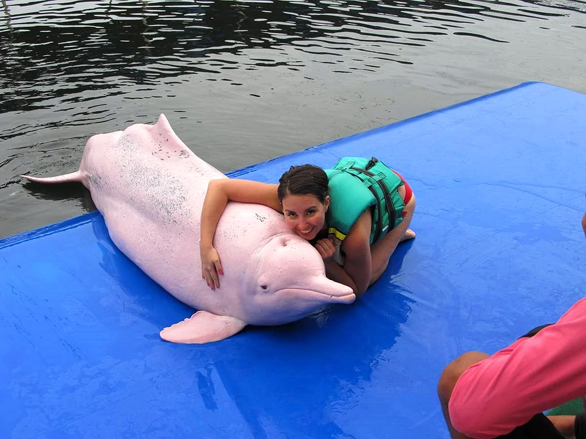 Розовый Дельфин в Тайланде